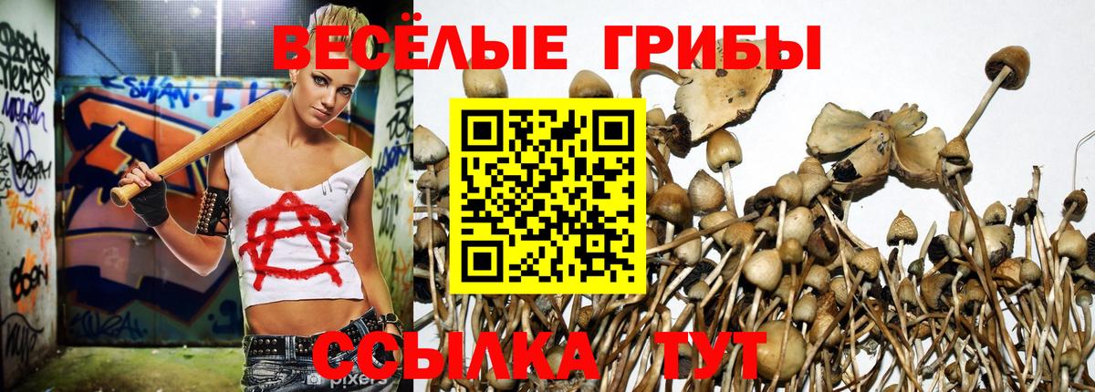 Галлюциногенные грибы ЛСД  Вход с VPN  Братск  Псилоцибиновые грибы Cubensis 