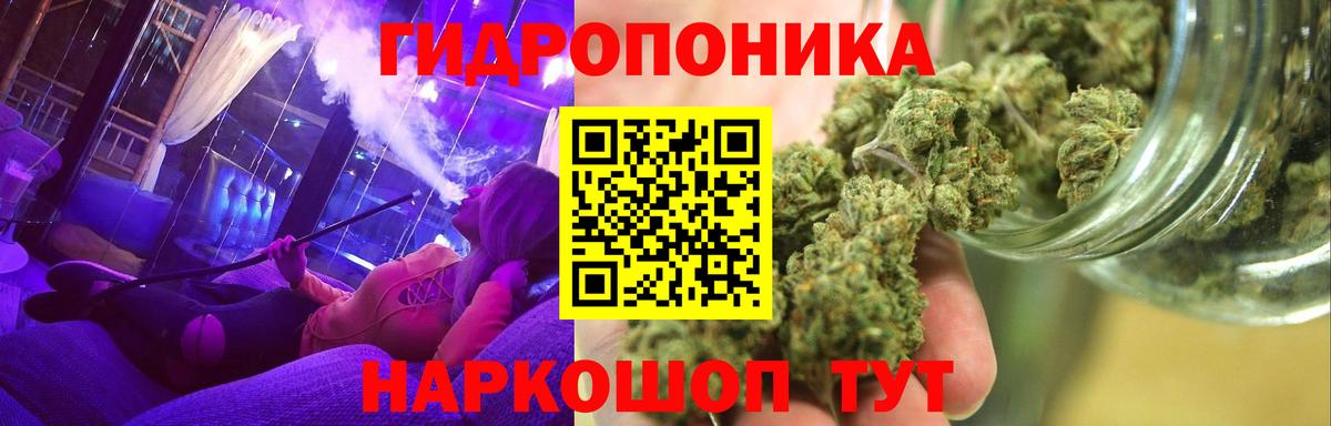 Бошки марихуана OG Kush Братск
